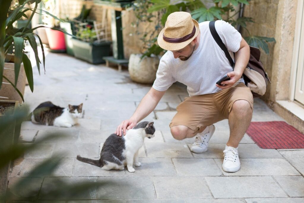 Pet-Friendly NYC: Top Neighborhoods and Buildings for Animal Lovers